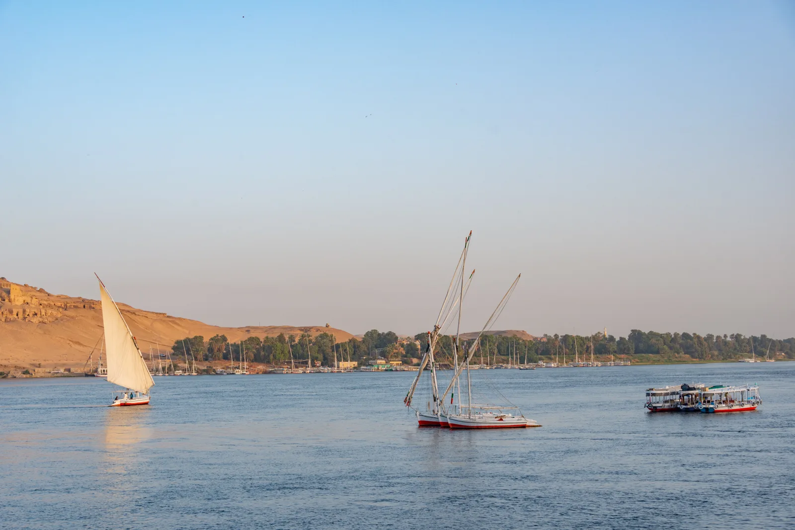 Tours in Aswan