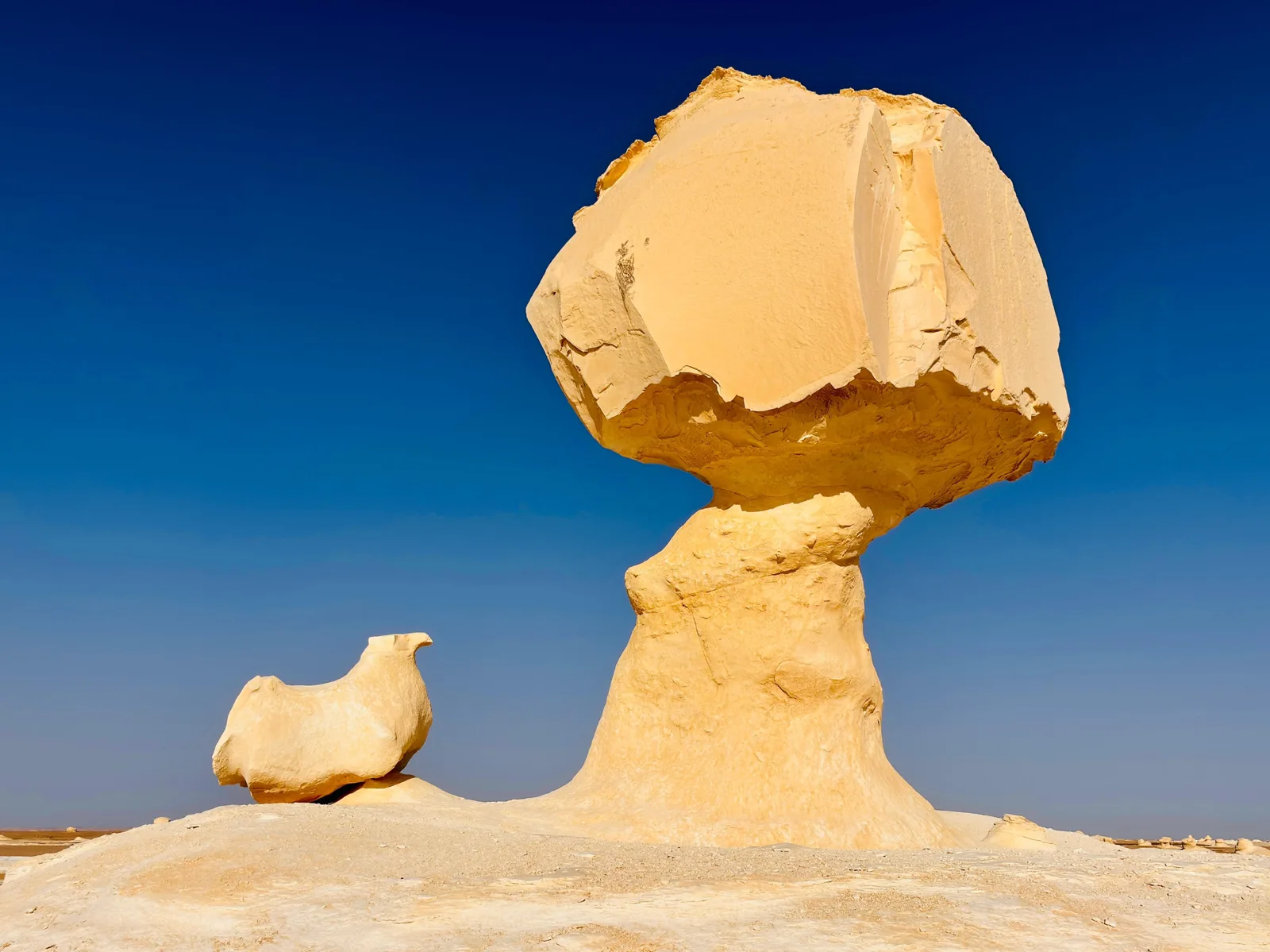 Tours in Bahariya Oasis